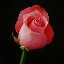 0718_da_Sinkler