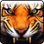 Tigre