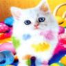 Gatto1