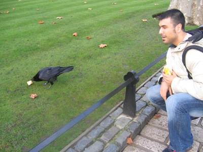 london19